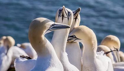 韩国爆发反以色列游行：民众排队向内塔尼亚胡海报扔鞋