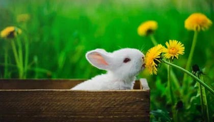 行程结束，中方代表团离开美国，当着全世界面，特朗普送出11个字