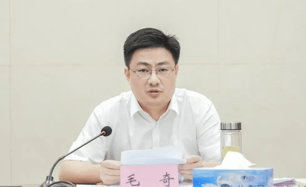 毛奇严重违反政治纪律、组织纪律、廉洁纪律、生活纪律