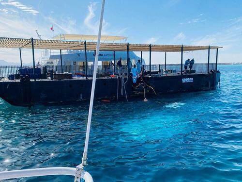 埃及红海旅游潜艇沉没，6名俄罗斯游客丧生，44人获救