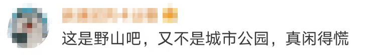 大片连根铲除!深圳一公园“火速响应”引质疑,网友为它喊冤