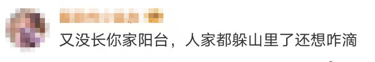 大片连根铲除!深圳一公园“火速响应”引质疑,网友为它喊冤