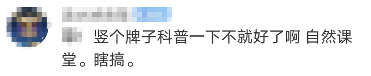 大片连根铲除!深圳一公园“火速响应”引质疑,网友为它喊冤