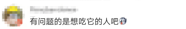 大片连根铲除!深圳一公园“火速响应”引质疑,网友为它喊冤