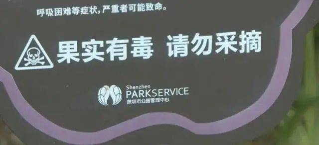 大片连根铲除!深圳一公园“火速响应”引质疑,网友为它喊冤
