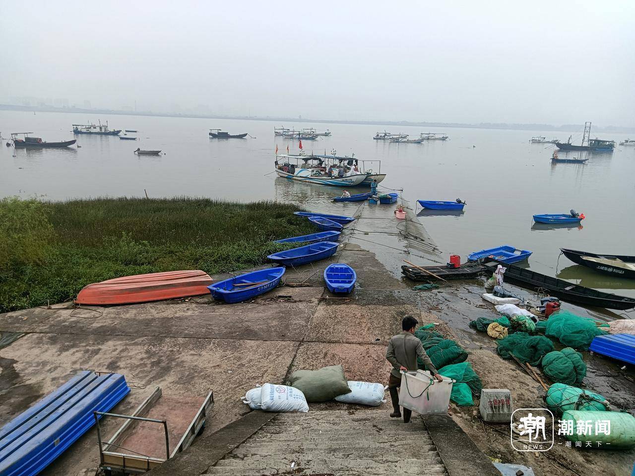 还有六天，钱塘江鲜回归，杭州杨公社区渔民：第一波盼刀鱼