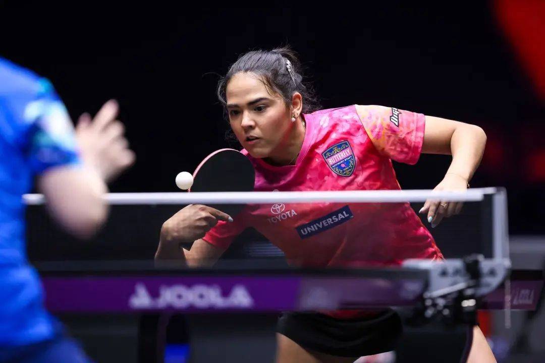 王楚钦胜高承睿,孙颖莎将战陈熠,“栋曼”首战告捷 | WTT美国大满贯赛