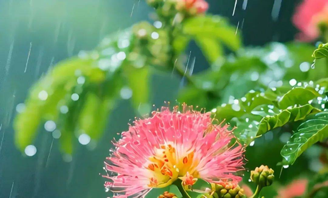 黑龙江:高温天气,退!退!退!