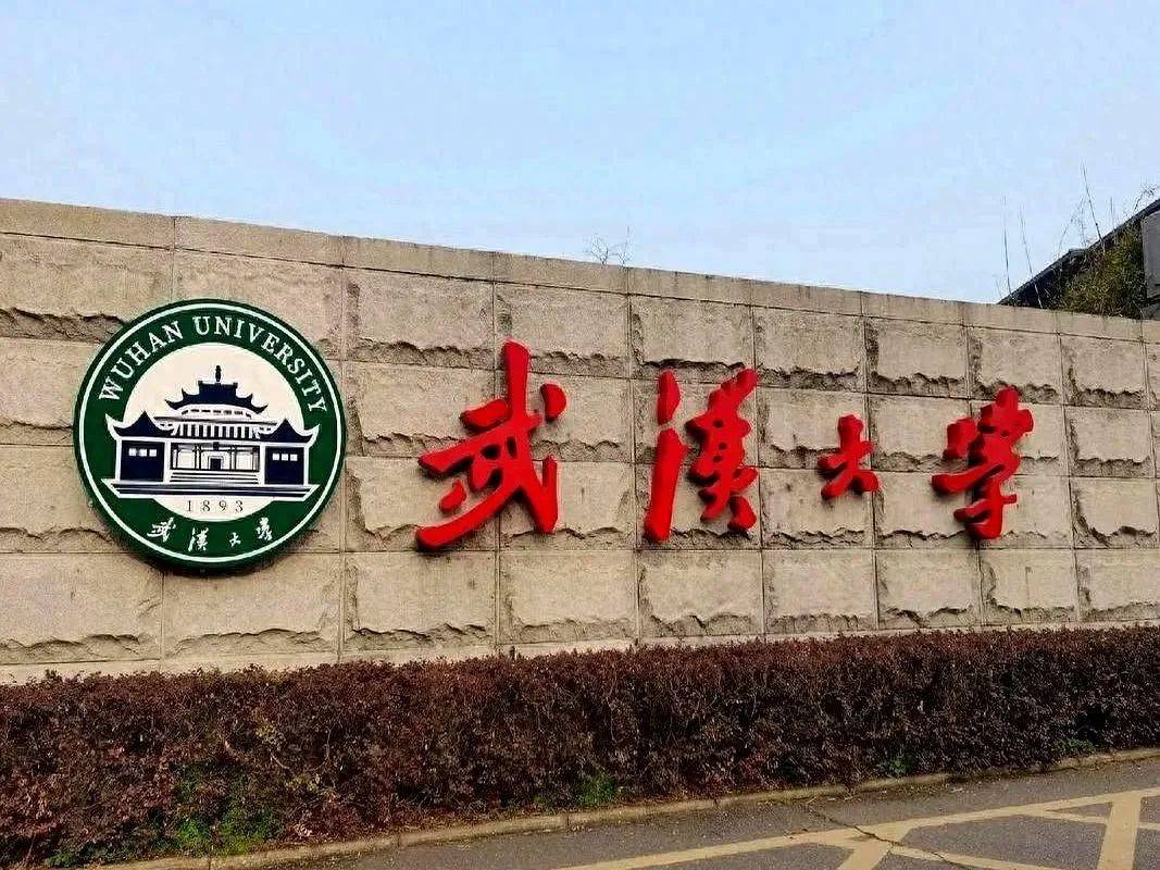 害人害己！武大杨某踢到铁板，知情人曝将被开除，到手的博士难保