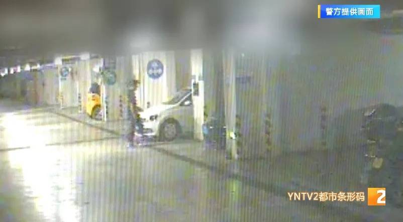 凌晨怪事!男子提着茅台袋子在车库,翻垃圾桶竟为了.....