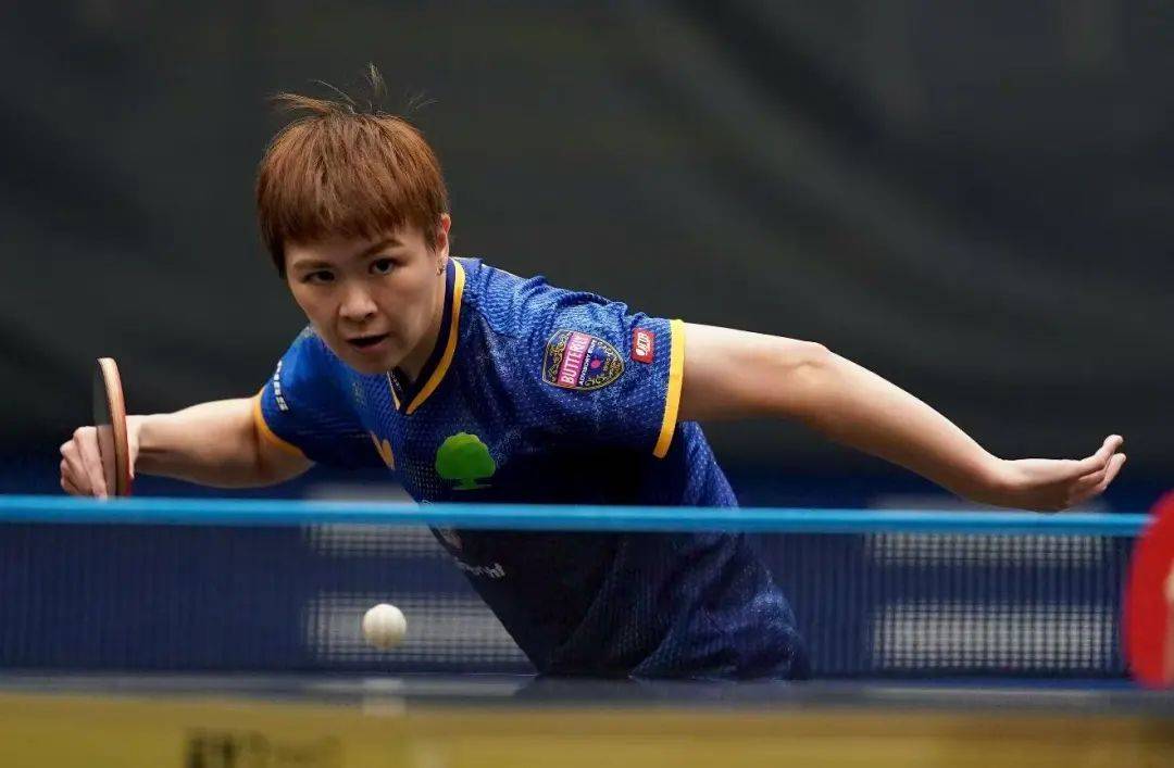 王曼昱零封万远，林诗栋首战告捷 | WTT欧洲大满贯瑞典站