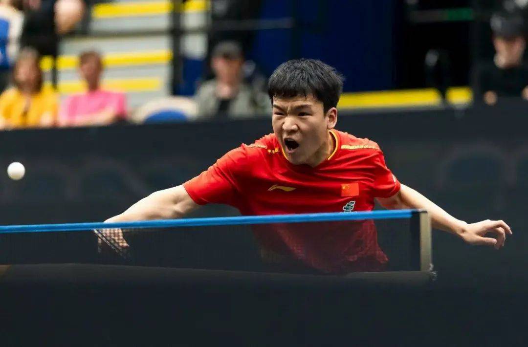 王曼昱零封万远，林诗栋首战告捷 | WTT欧洲大满贯瑞典站