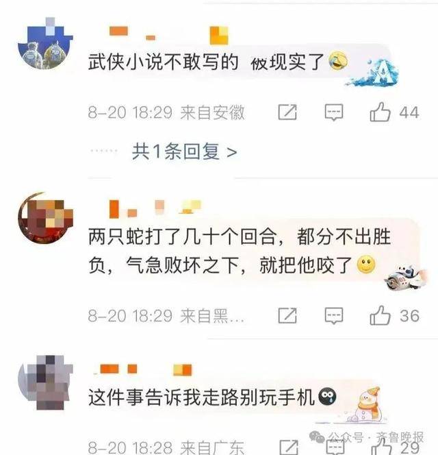 安徽宣城一男子走路玩手机，一脚踩中打架的竹叶青和五步蛇，被俩毒蛇咬3口！医院：暂无生命危险，正在治疗