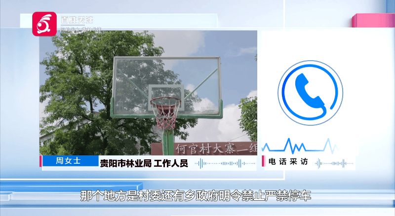 贵阳一700年古树砸扁“宝马”，现场惨不忍睹，林业局：车主他也有错