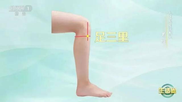 比走路还简单!每天“坐”10分钟,气血充足、消化好