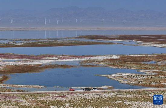 周末出游享金秋