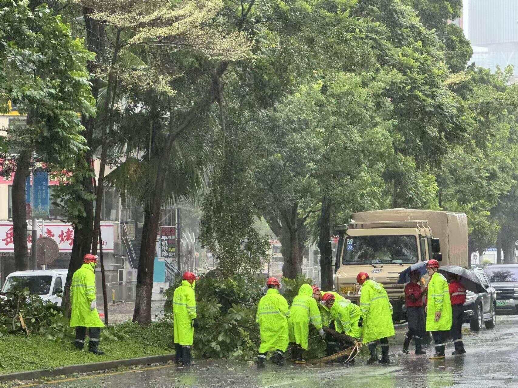 “桦加沙”卷倒行道树，深圳多部门昼夜清障开路