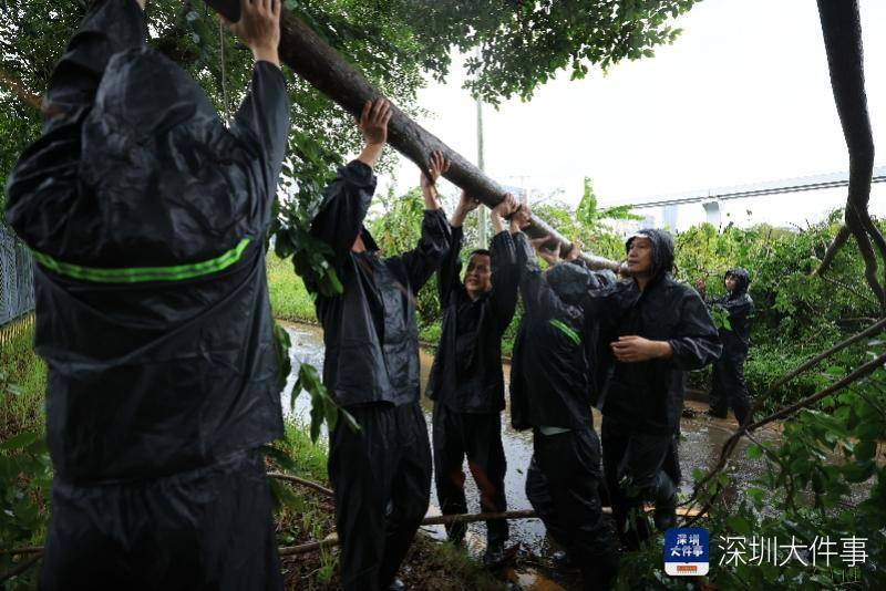 从“山竹”开始，深圳这家企业每遇台风都组织员工排险清障