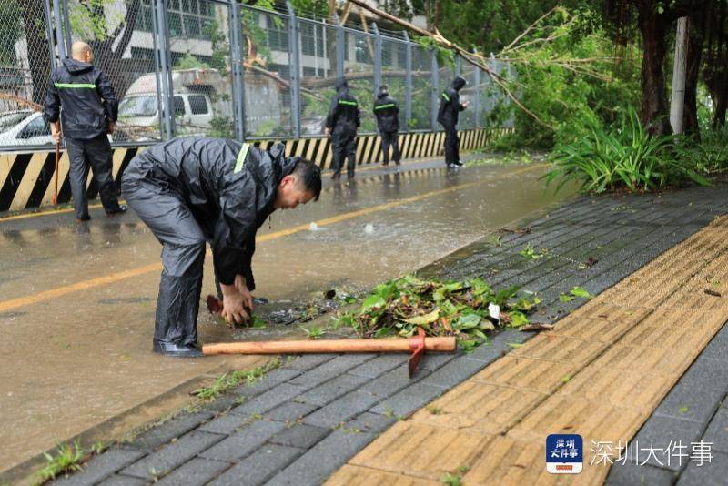 从“山竹”开始,深圳这家企业每遇台风都组织员工排险清障