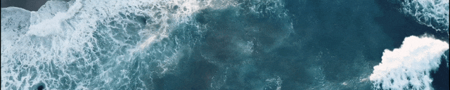 中年就业“避风港”:报告称超七成网约车司机系失业后转入 中年就业“避风港”:报告称超七成网约车司机系失业后转入