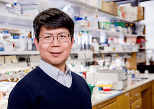 这位华人,今年有望拿诺贝尔奖