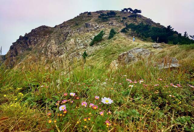 青岛“阿勒泰”爆火后，如何将“网红”变“长红”