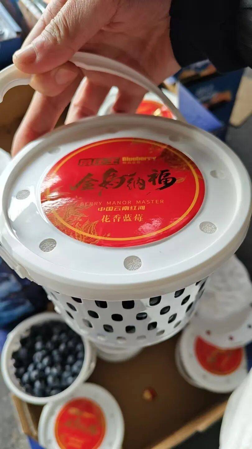 蓝莓价格大跳水!不少人成桶买!提醒:千万别狂炫