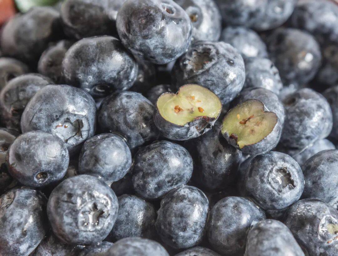 蓝莓价格大跳水!不少人成桶买!提醒:千万别狂炫