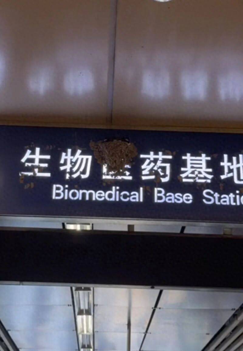 北京一地铁站燕子在站牌上筑巢，车站方称不会清理