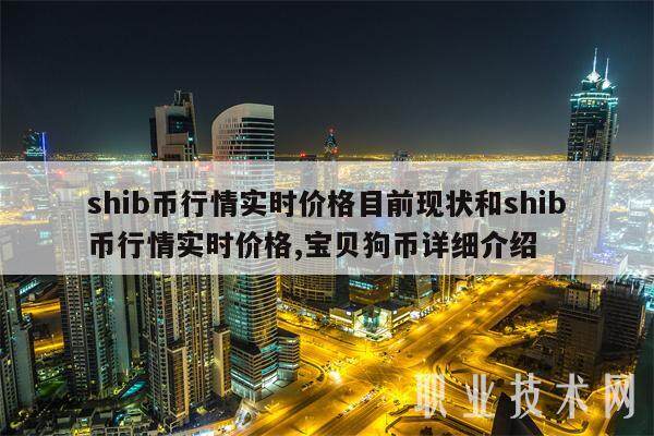 类似于shib的币(和币世界一样功能的还有)