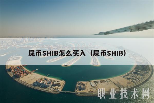 shib币1000元的简单介绍