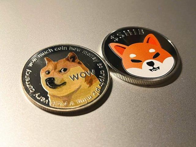 shib狗狗币区别(shib币100元赚16亿)