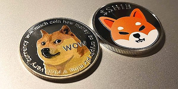 shib币推特(shib币推特最新消息2023年9月29日)