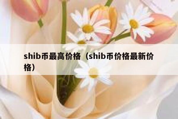 shib币涨了多少(shib币涨了多少倍)