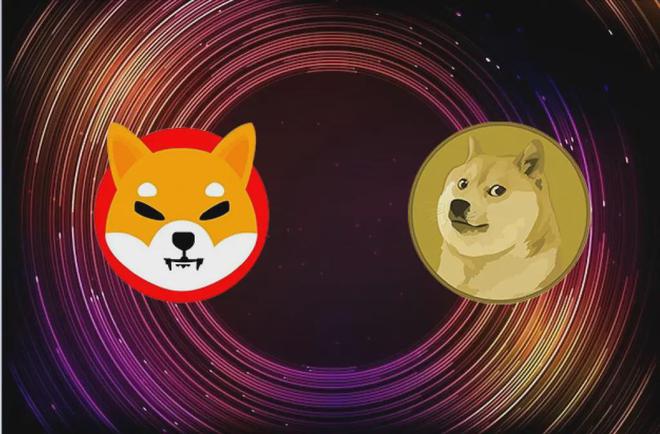 shib狗狗币区别(shib和狗狗币区别)