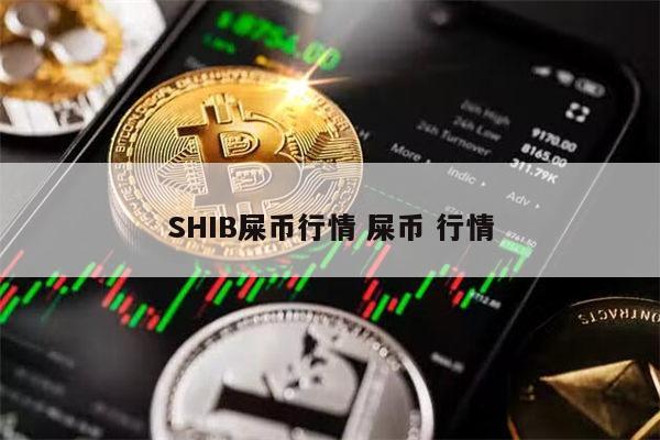 shib币销毁会推高价格吗(shib币什么时候出销毁机制)