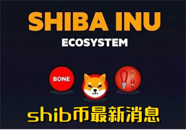 shib几号上线币安(正规usdt交易平台官网)