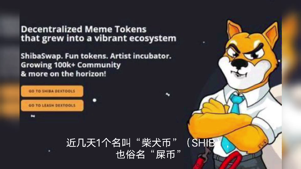 柴犬币shib行情(柴犬币shiba今日走势行情)