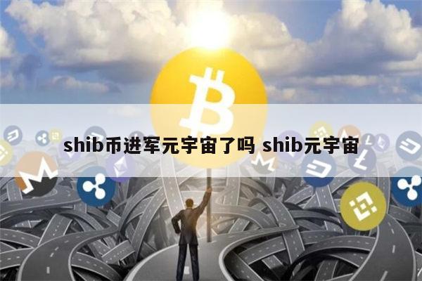 SHIB币什么时候出的(shib币什么时候发布的)