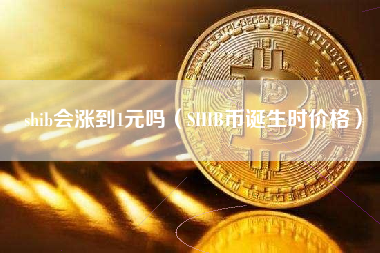 SHIB币什么时候出的(shib币什么时候发布的)