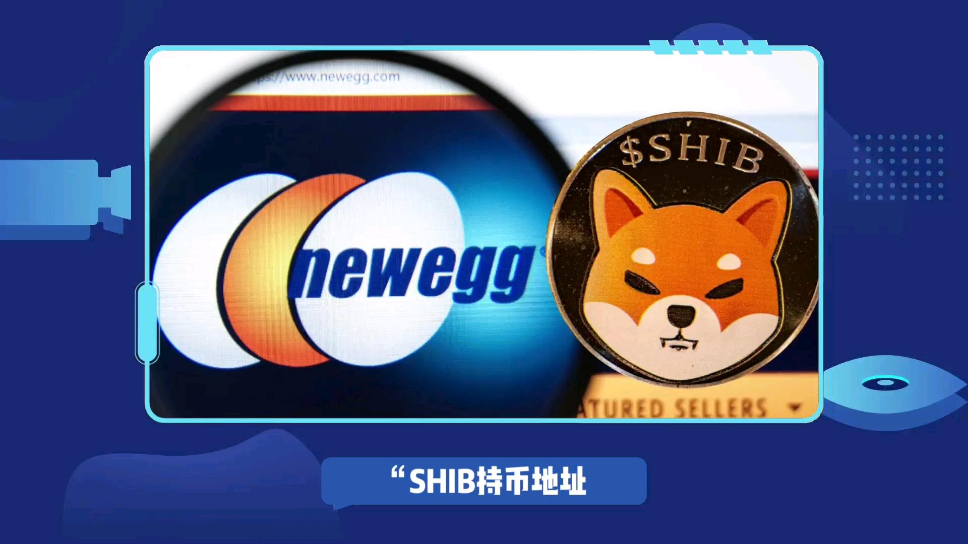 shib提币选错(shib提币多久到账)