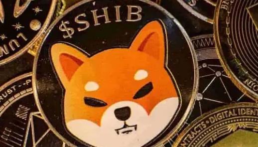 shib币是公链吗(shib币是不是传销币)