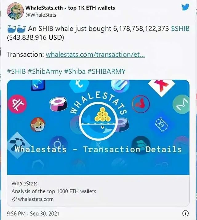 最新shib币报道(shib币最新价格 行情)