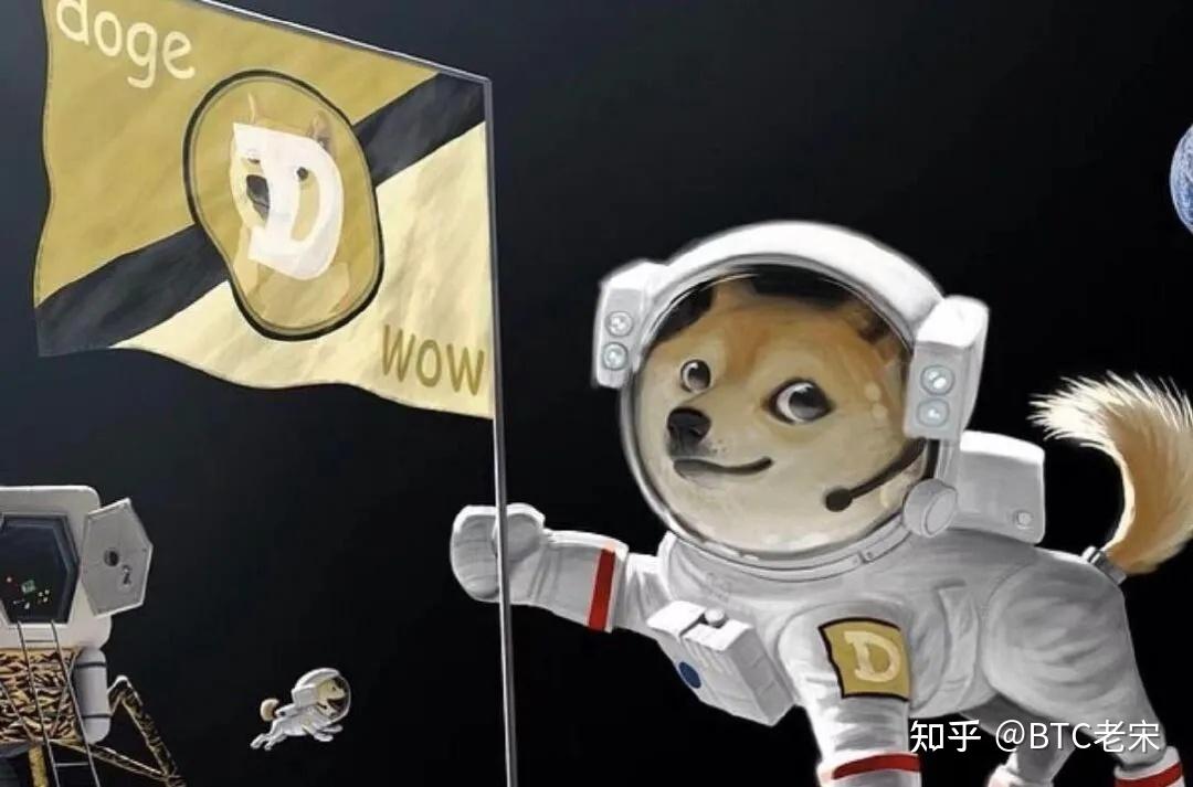 shib币与doge币(shib币与shib3l区别)