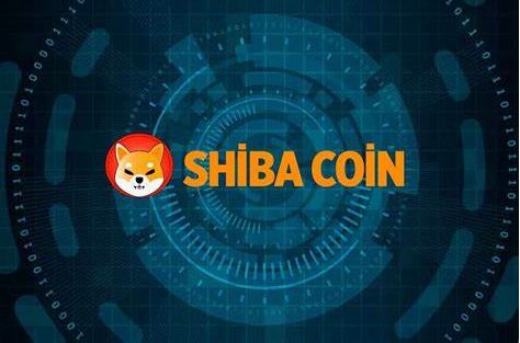 shib币自己燃烧销毁多少(shib币什么时候出销毁机制)