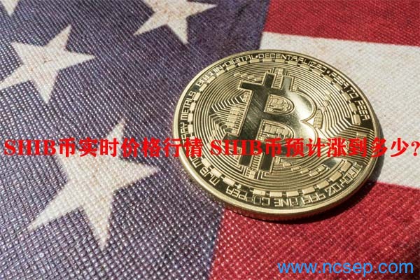 shib币自己燃烧销毁多少(shib币什么时候出销毁机制)