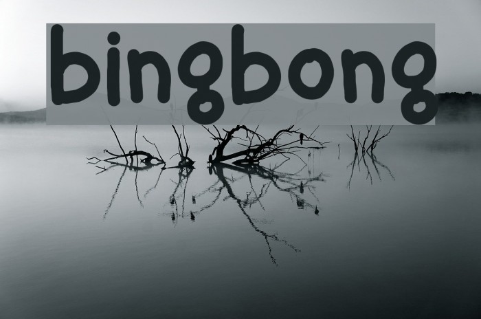 Bingbon(BINGBONG手表)