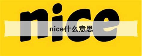 NICEX(nice兄dei是什么中文意思)