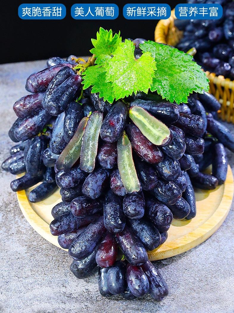 TAB葡萄(tab葡萄交易所官网) TAB葡萄(tab葡萄交易所官网)