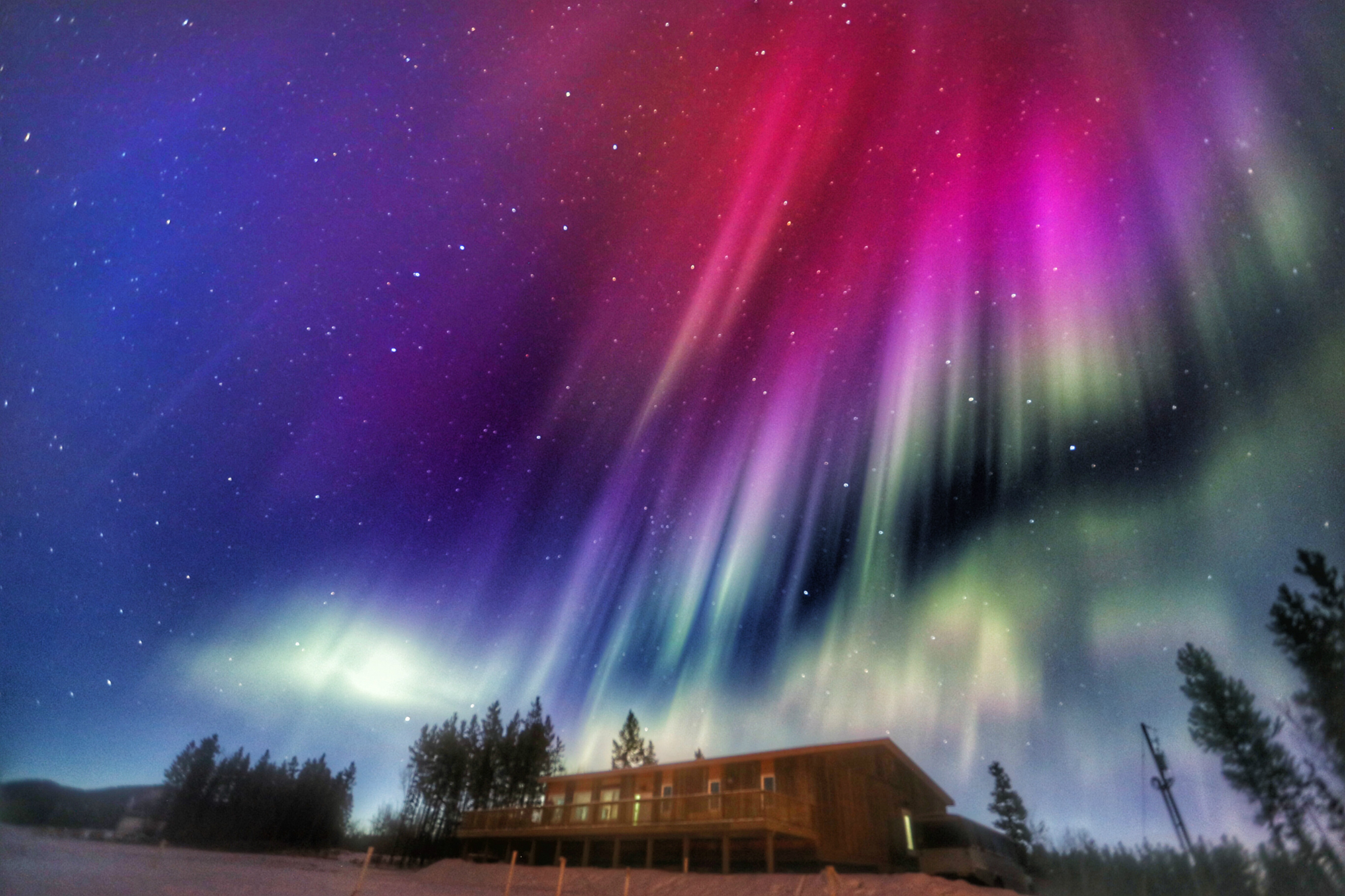 LongBit(龙币图片大全价格图片) LongBit(龙币图片大全价格图片)